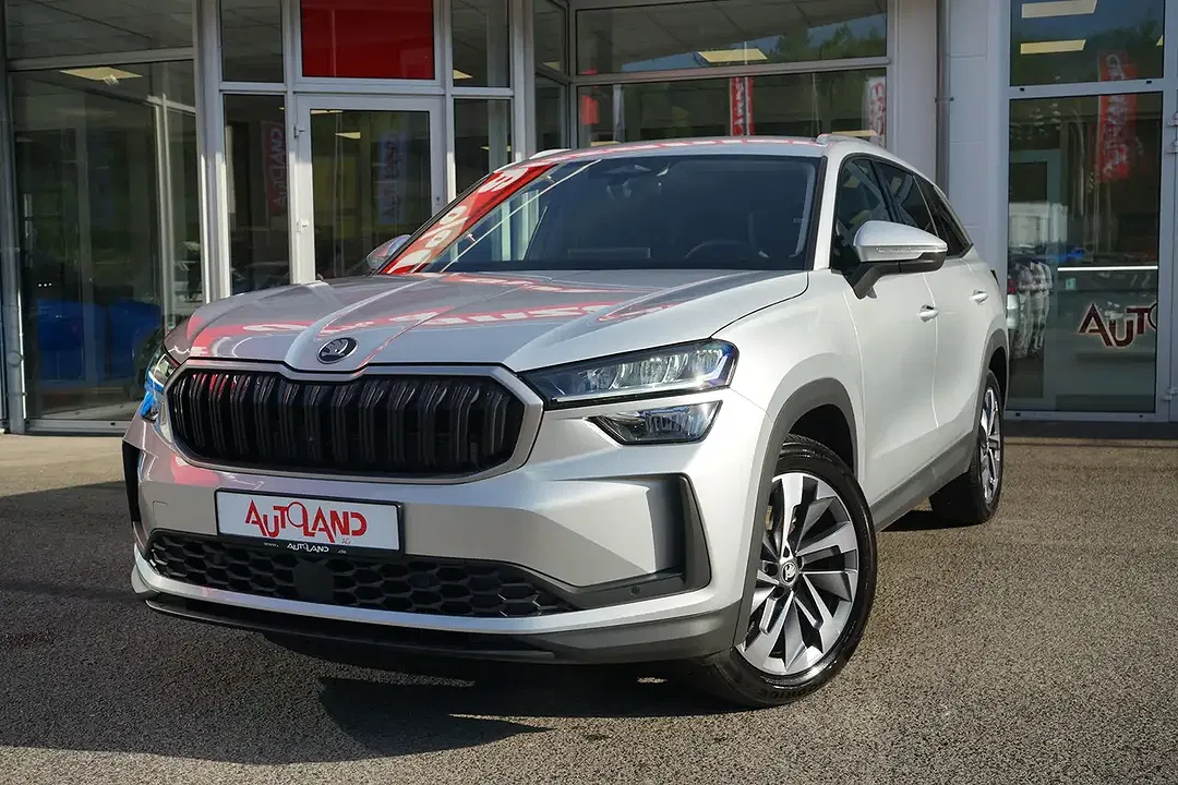 Skoda Kodiaq - Thumbnail 1