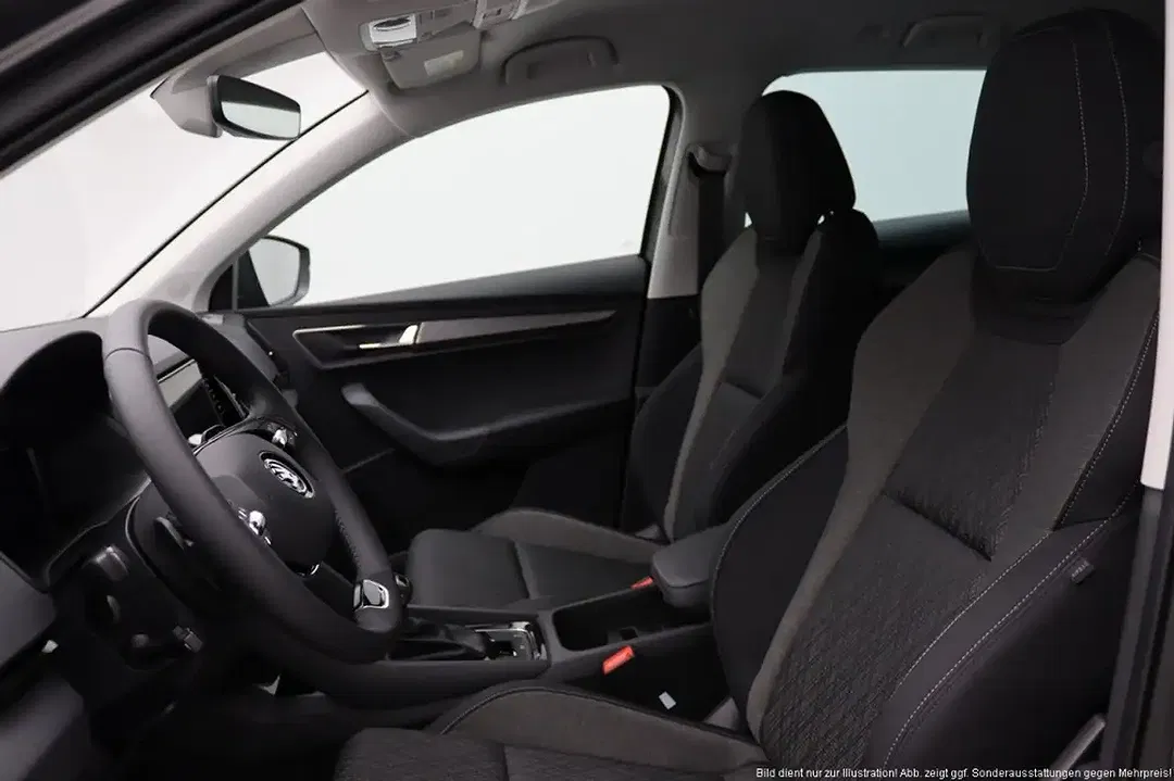 Skoda Karoq - Thumbnail 13
