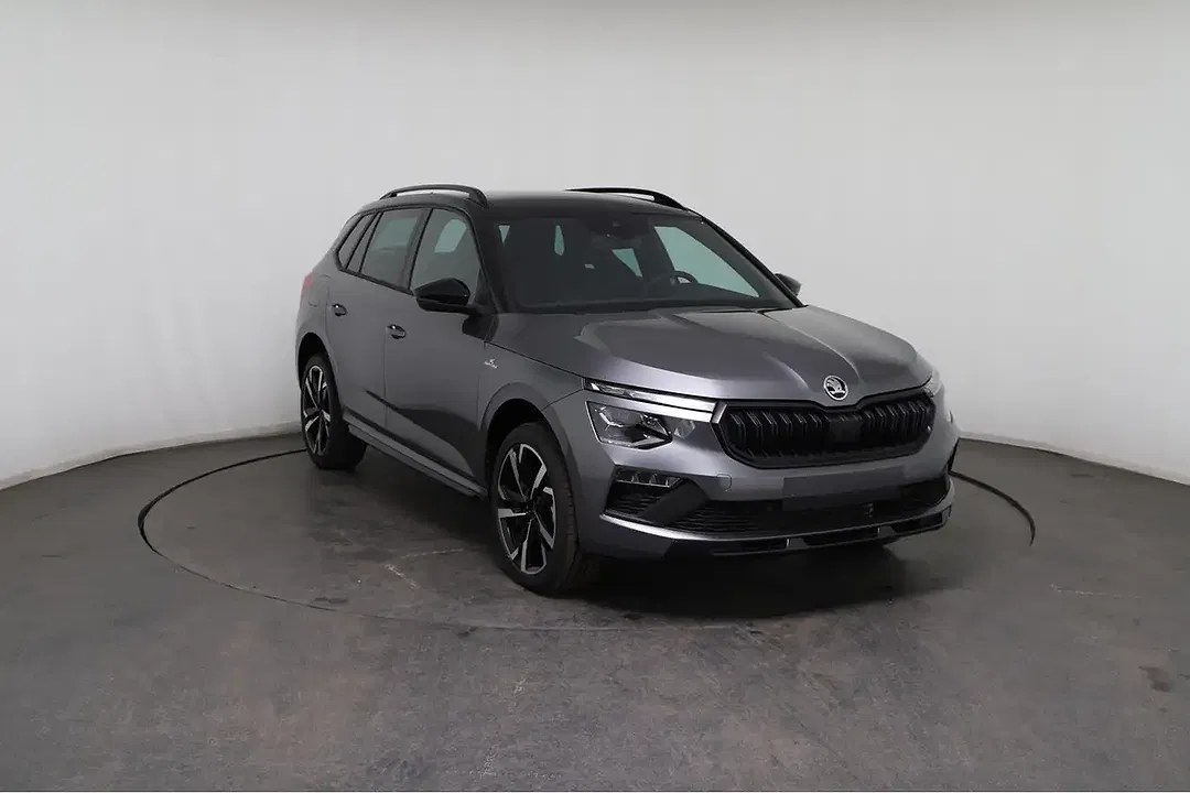 Skoda Kamiq - Thumbnail 10
