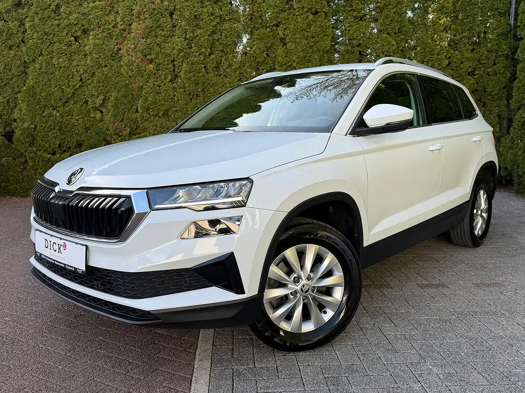 Skoda Karoq - Thumbnail 3