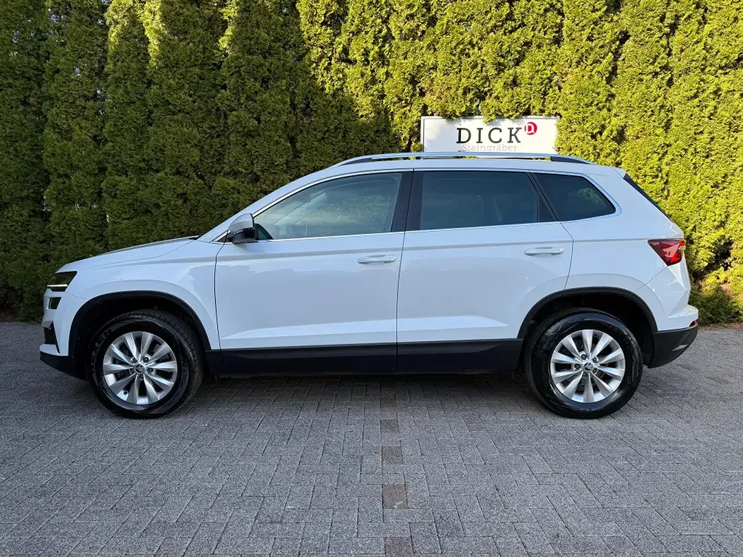 Skoda Karoq - Thumbnail 4