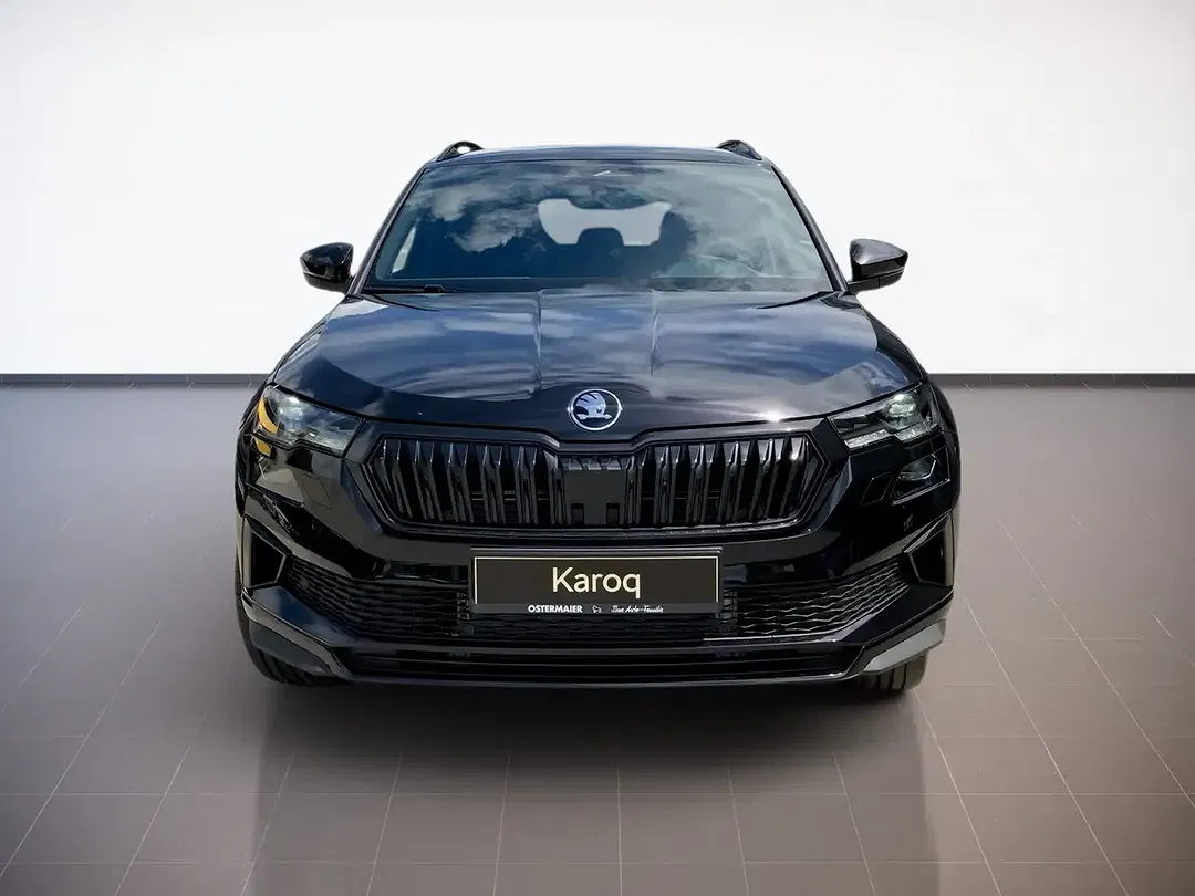 Skoda Karoq - Thumbnail 2