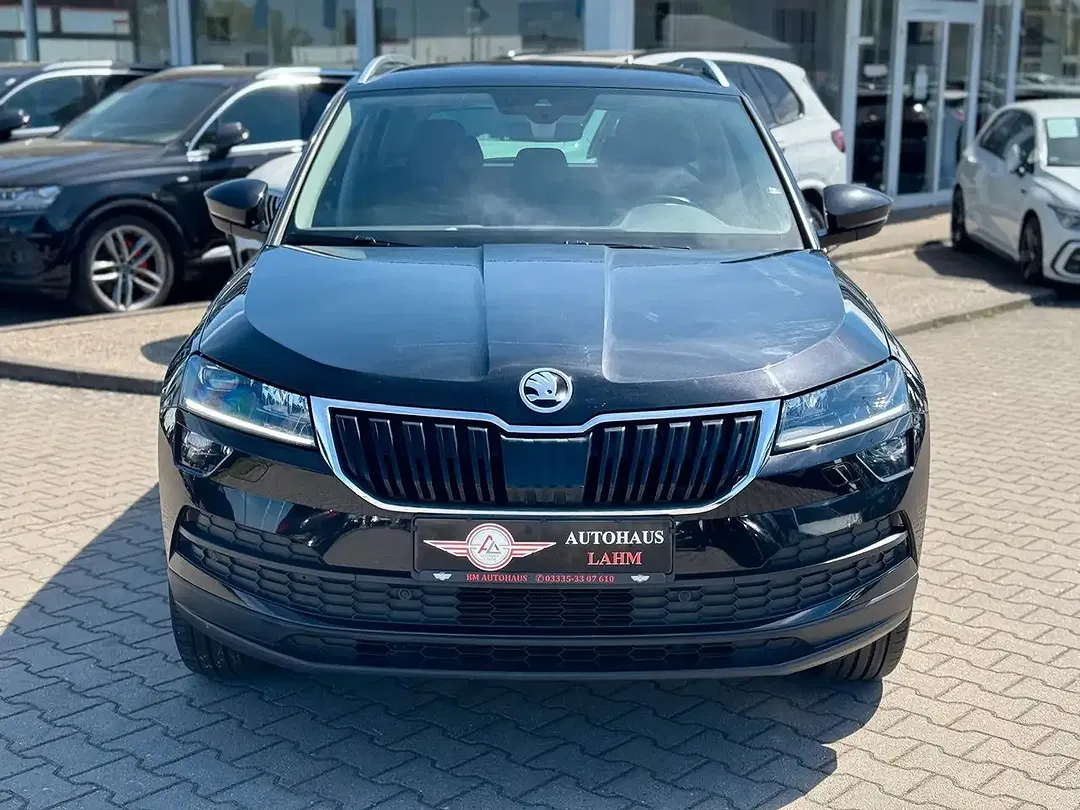 Skoda Karoq - Thumbnail 4
