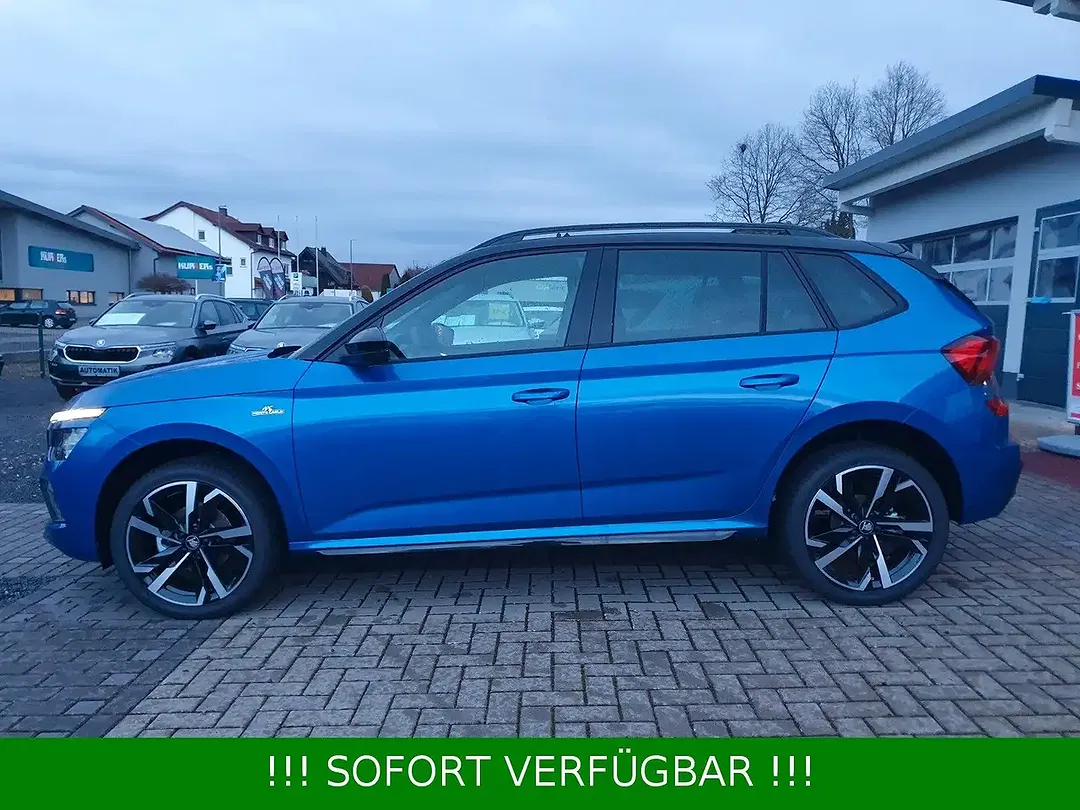 Skoda Kamiq - Thumbnail 12