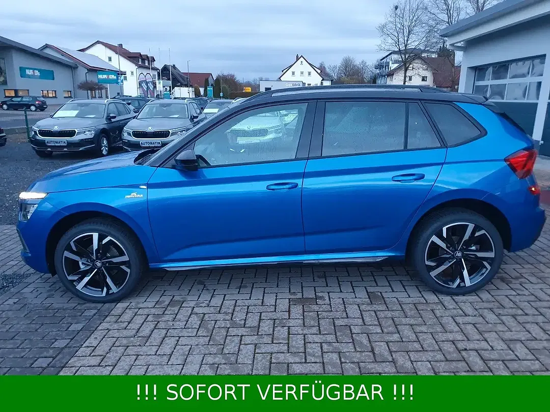 Skoda Kamiq - Thumbnail 15