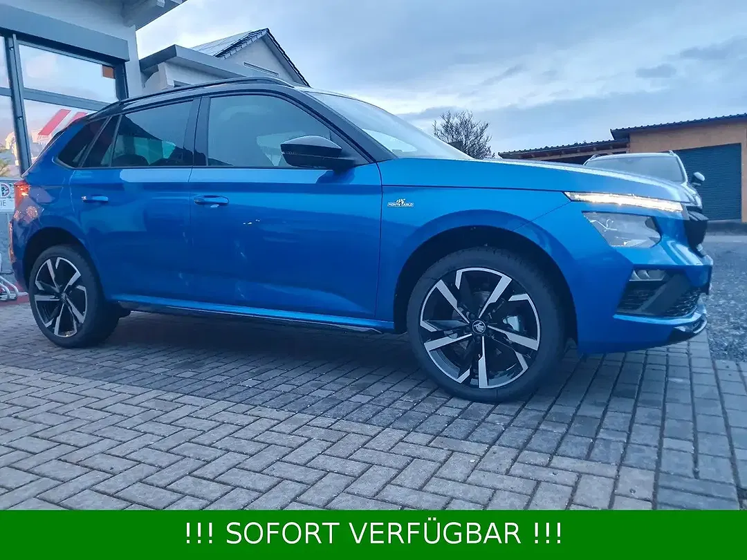Skoda Kamiq - Thumbnail 4