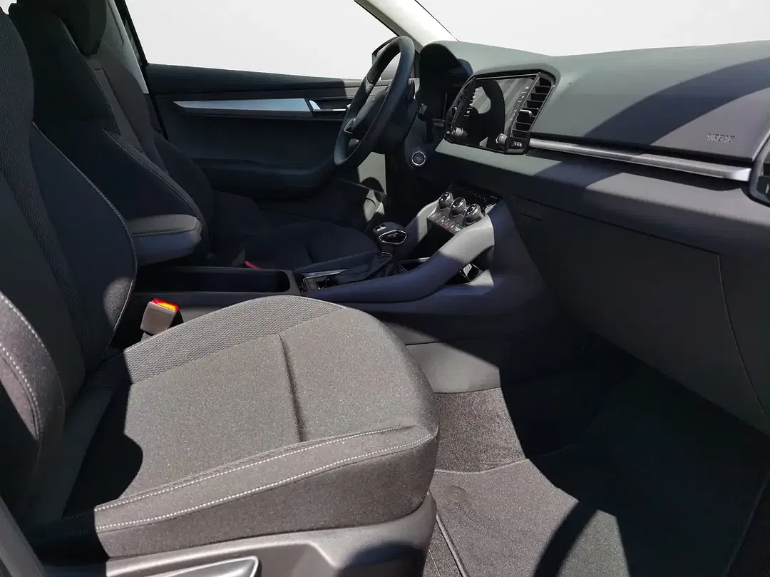 Skoda Karoq - Thumbnail 12