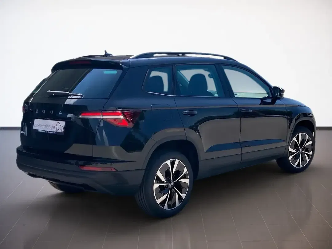 Skoda Karoq - Thumbnail 3