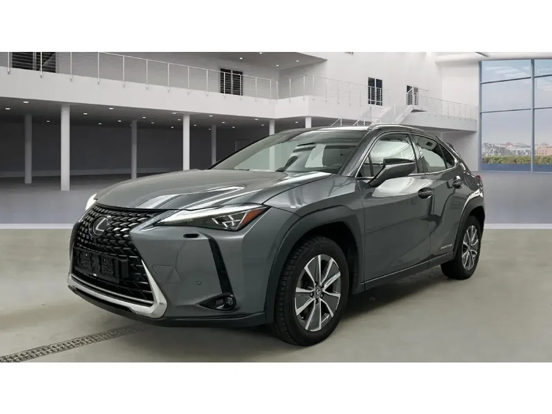 Lexus UX 300e - Afbeelding 1