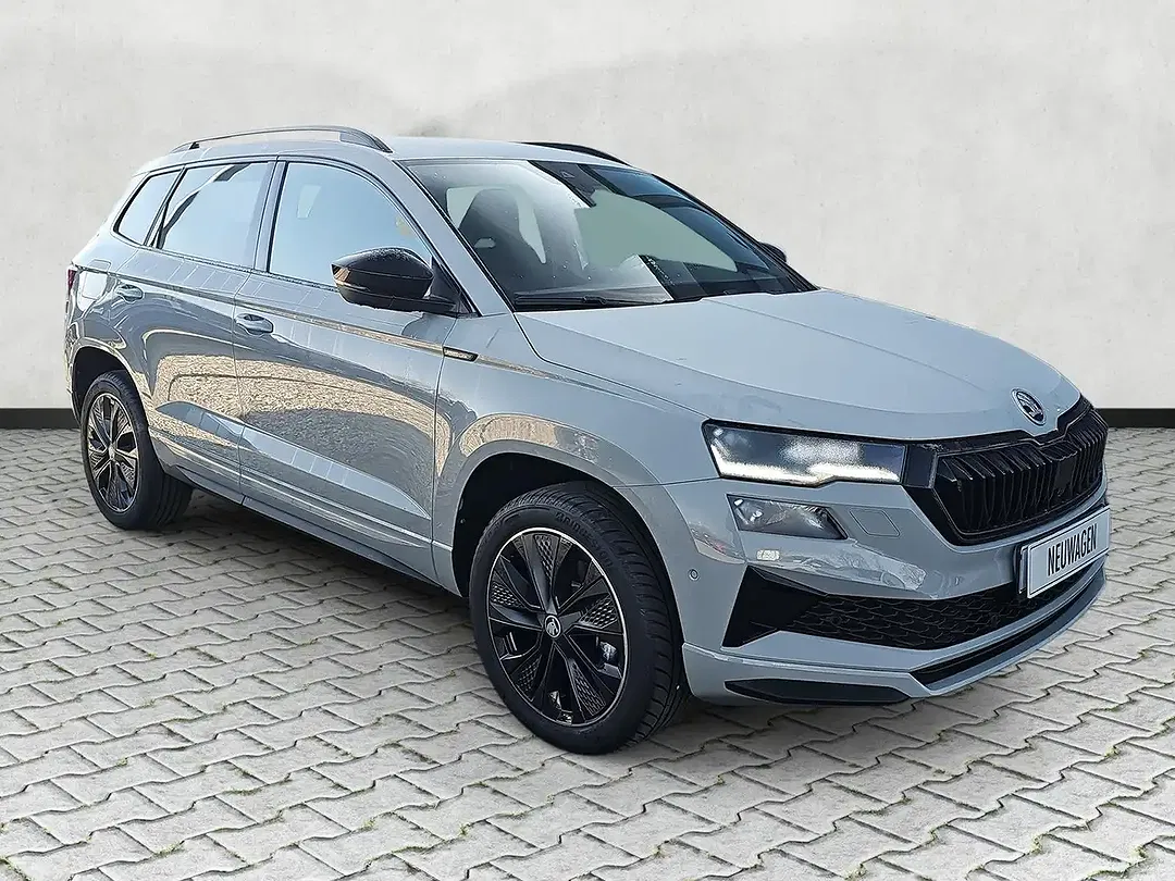 Skoda Karoq - Thumbnail 1