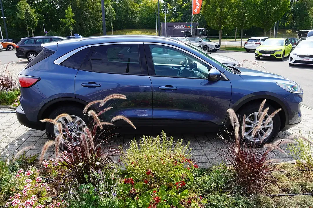 Ford Kuga - Thumbnail 8