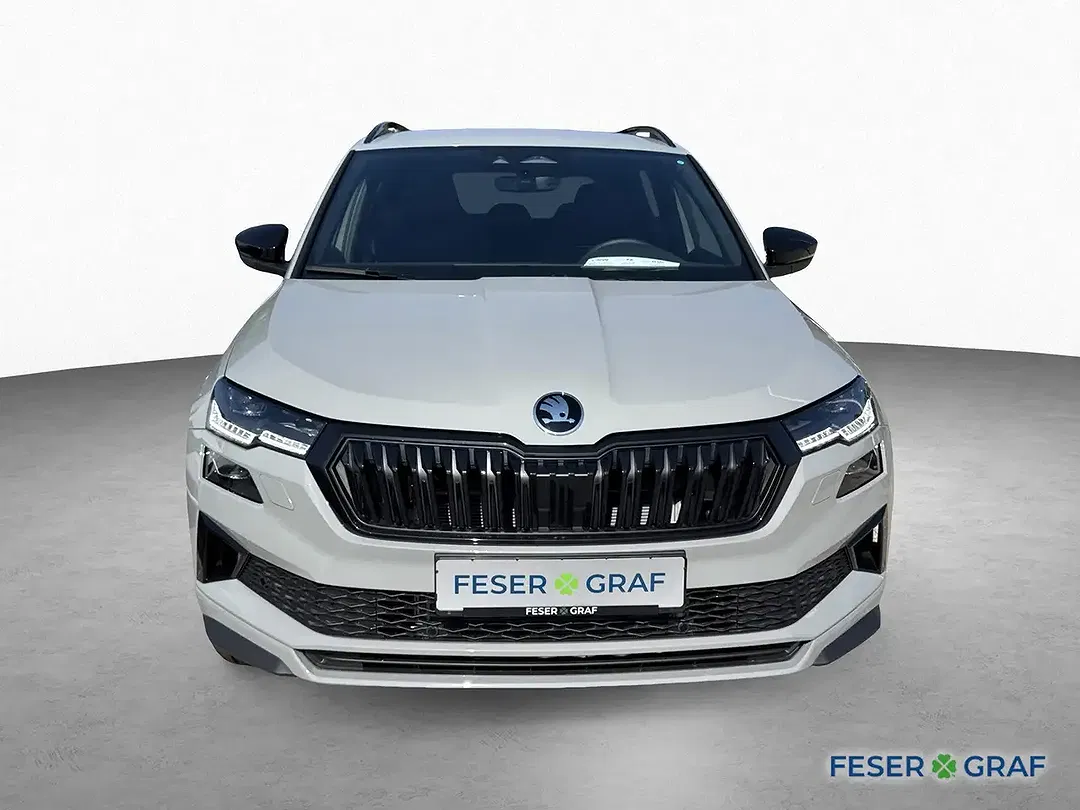 Skoda Karoq - Thumbnail 2