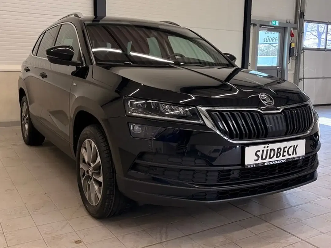 Skoda Karoq - Thumbnail 3