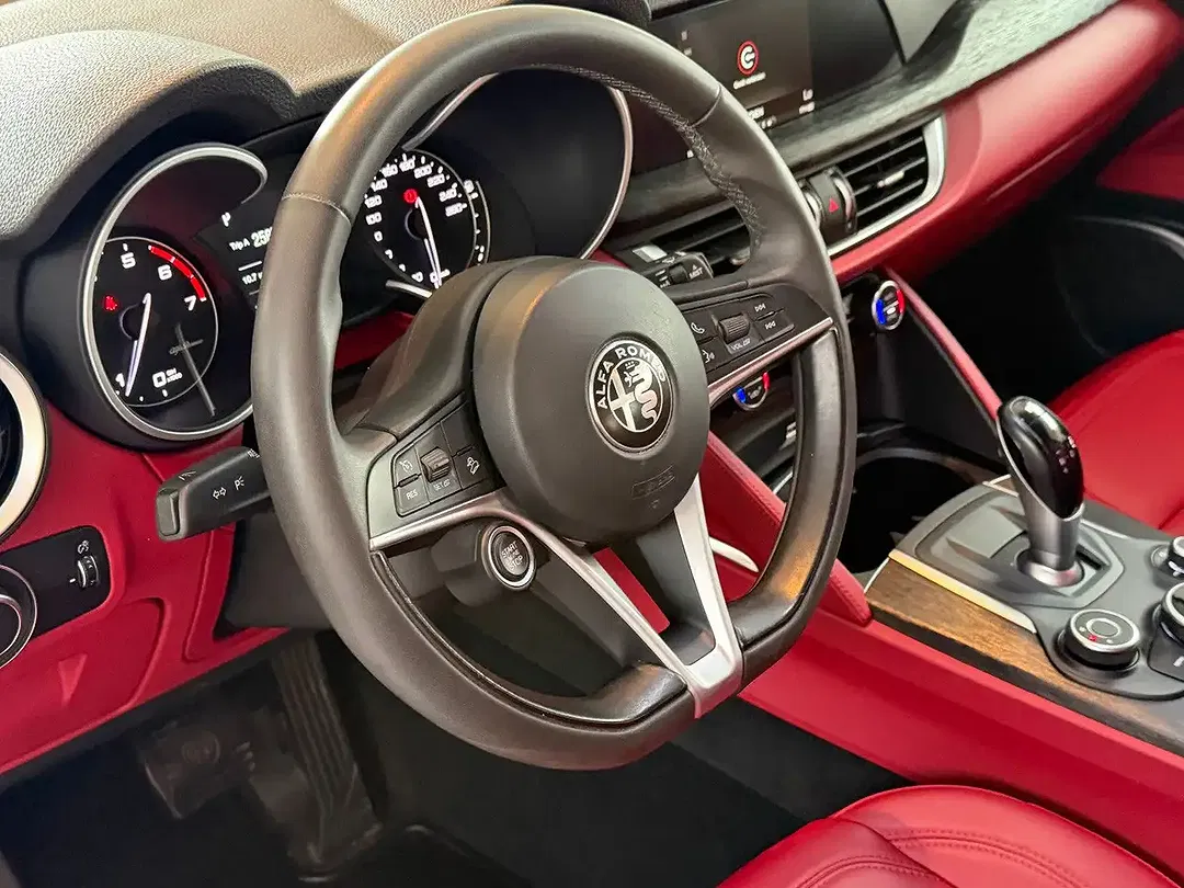 Alfa Romeo Stelvio AUT Q4 Super - foto 15