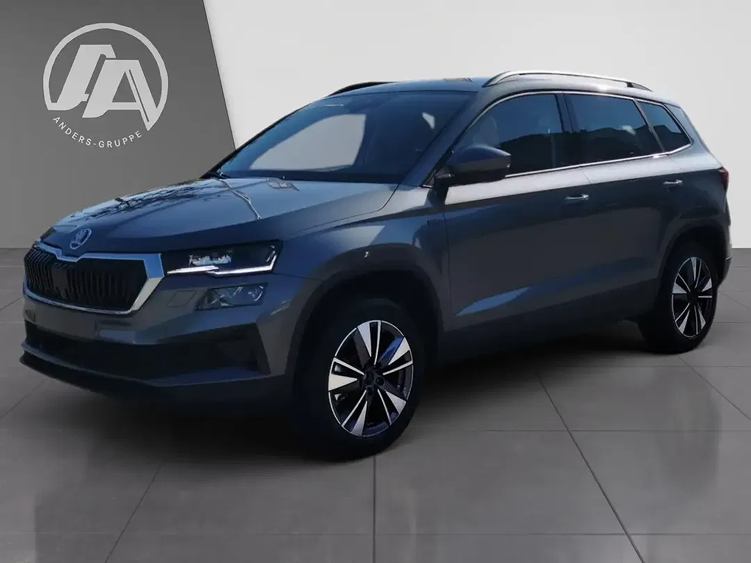 Skoda Karoq - Thumbnail 13