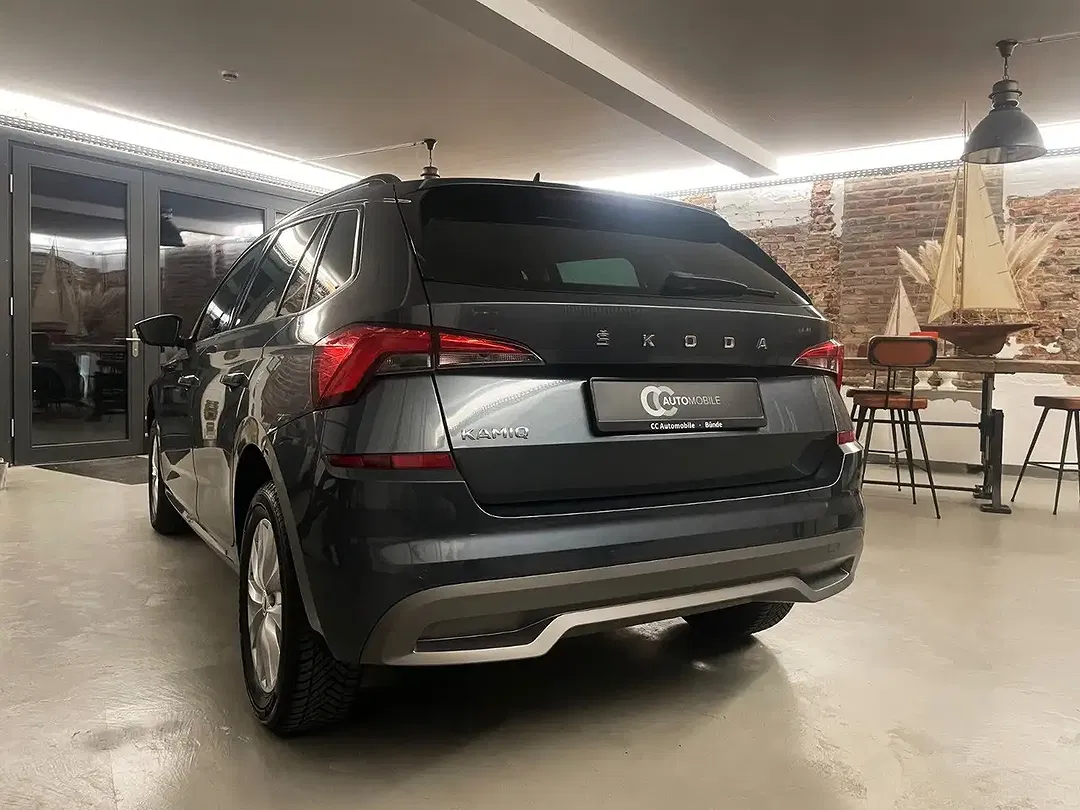 Skoda Kamiq - Thumbnail 10