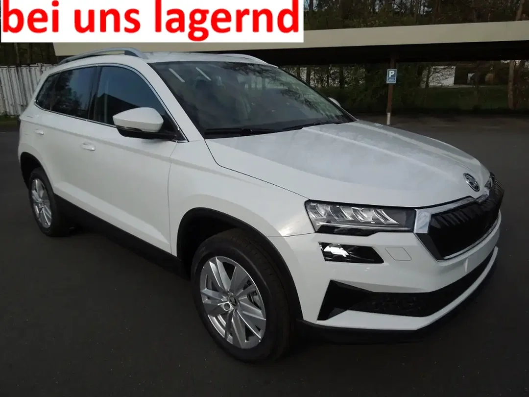 Skoda Karoq - Afbeelding 1
