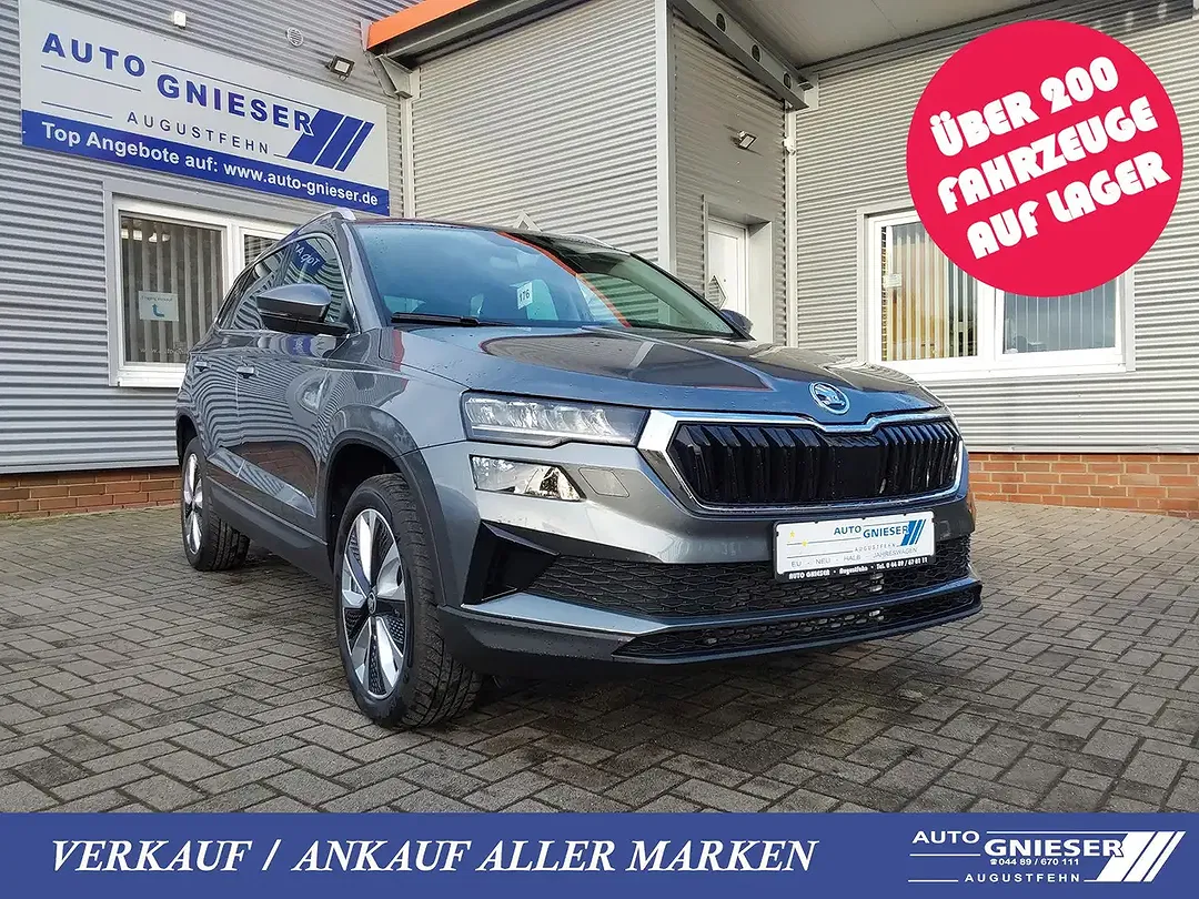 Skoda Karoq - Thumbnail 1