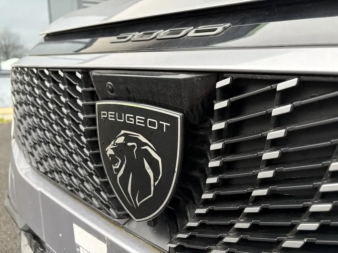 Peugeot 3008 - Thumbnail 8