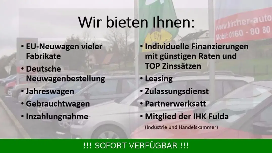 Skoda Kamiq - Thumbnail 11