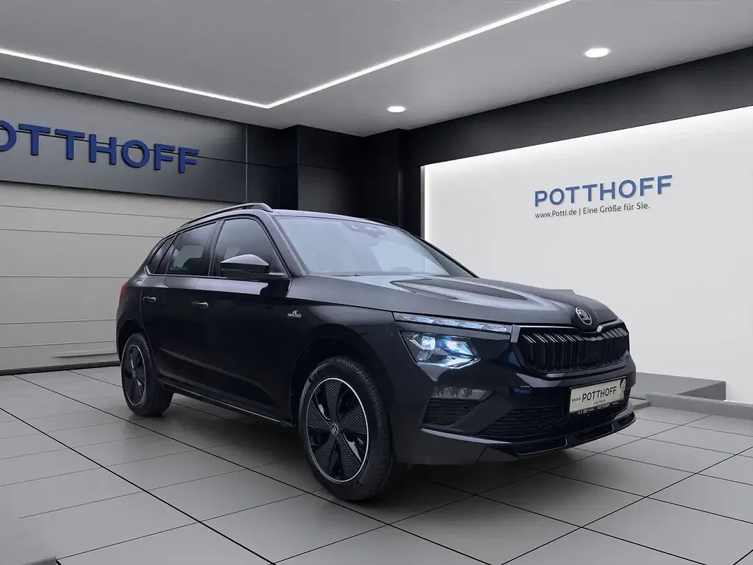 Skoda Kamiq - Thumbnail 7
