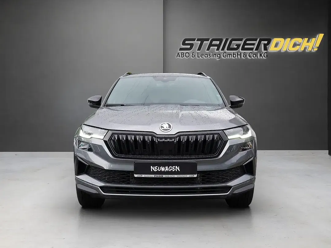 Skoda Karoq - Thumbnail 1