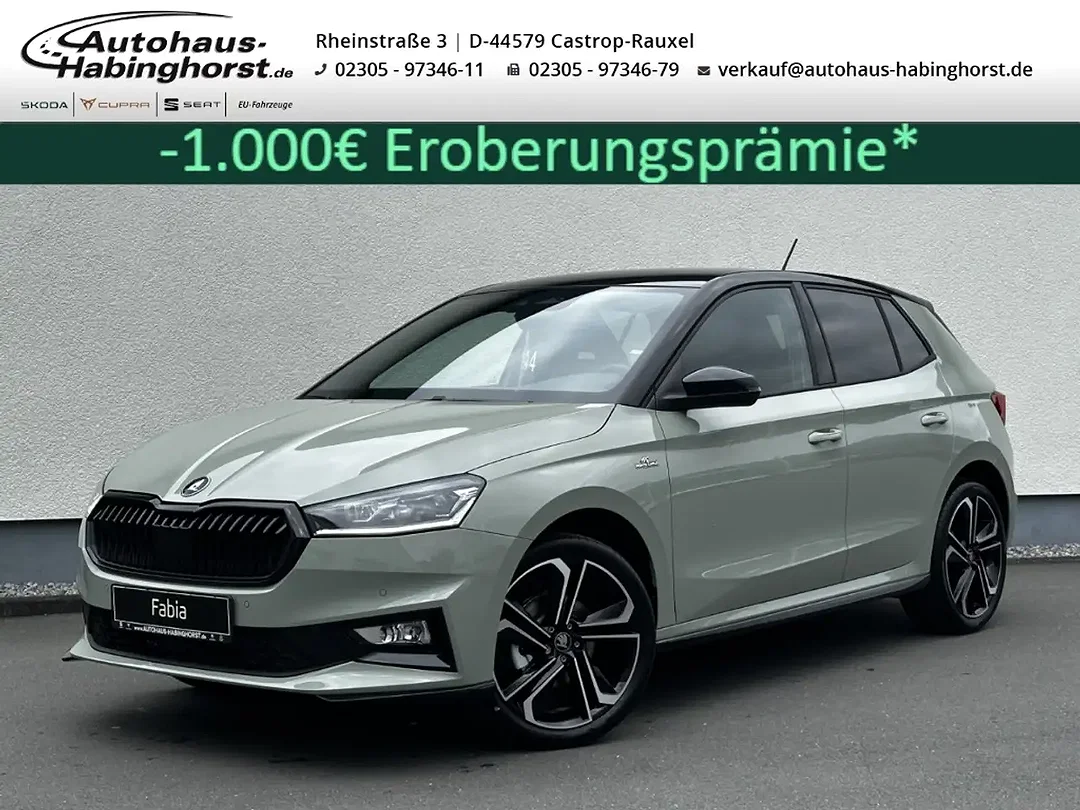Skoda Fabia - Afbeelding 1
