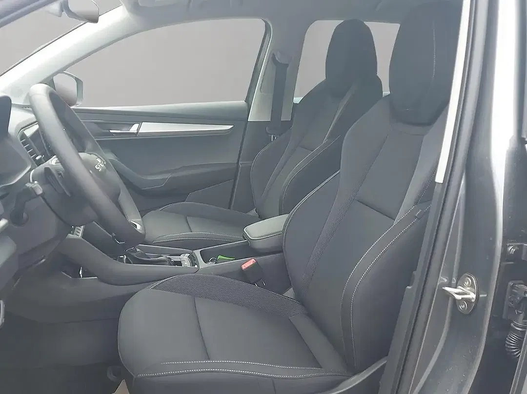 Skoda Karoq - Thumbnail 12