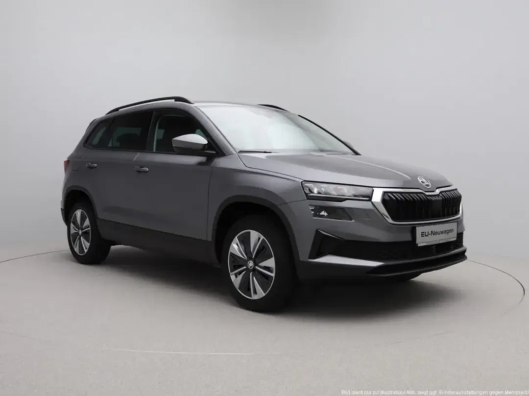 Skoda Karoq - Thumbnail 9