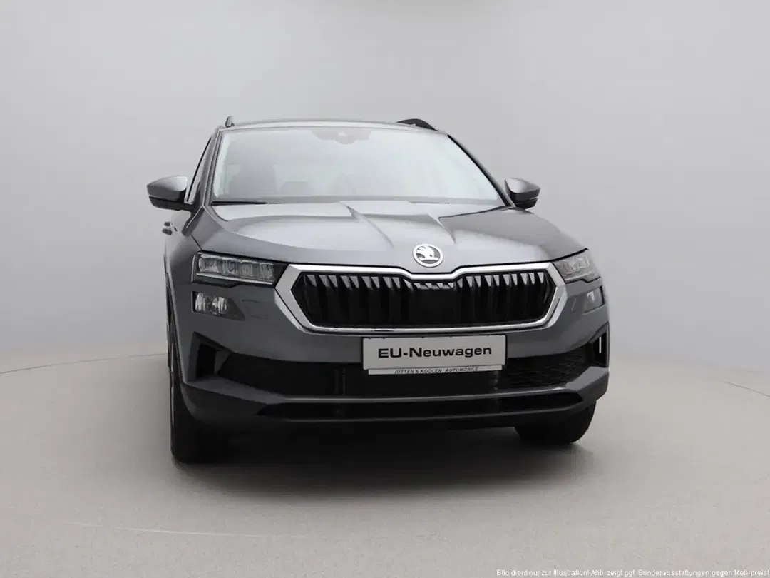Skoda Karoq - Thumbnail 10