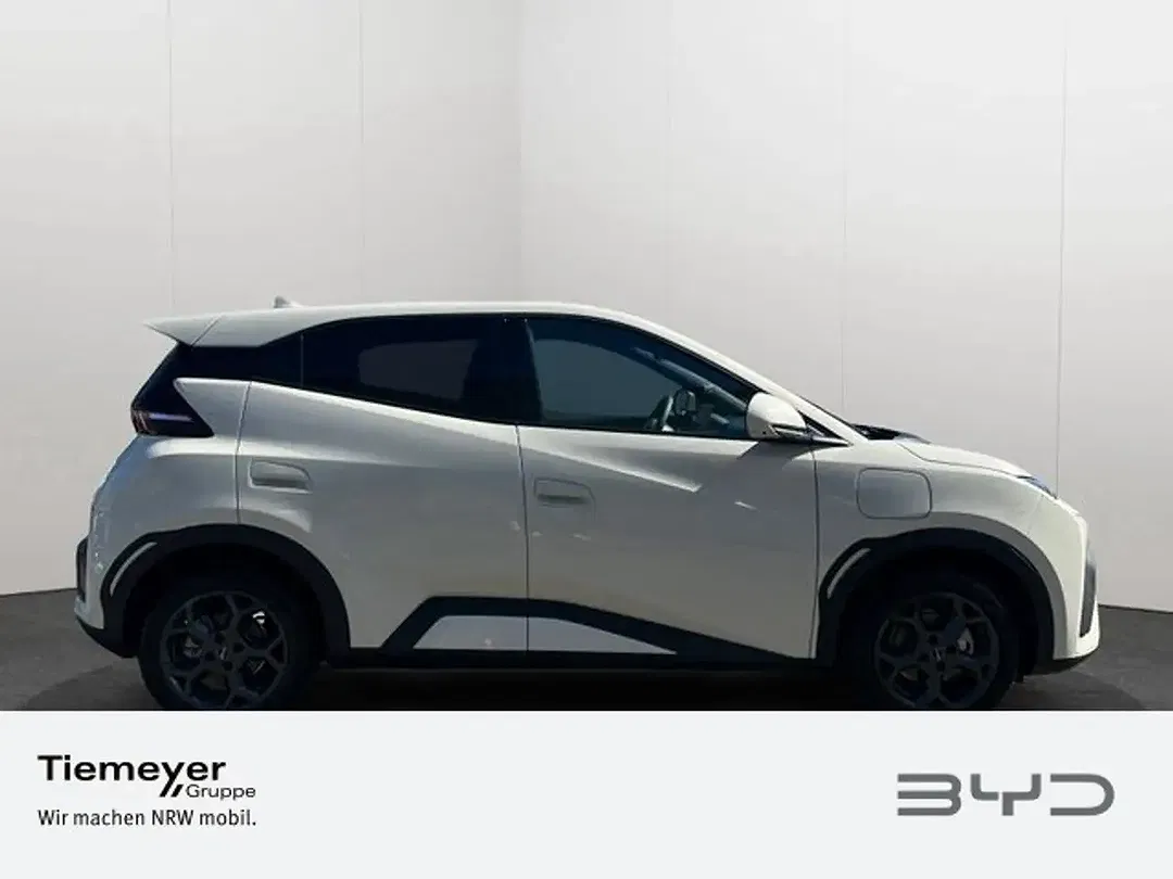 BYD Dolphin - Thumbnail 3