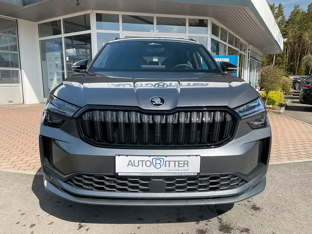 Skoda Kodiaq - Thumbnail 1