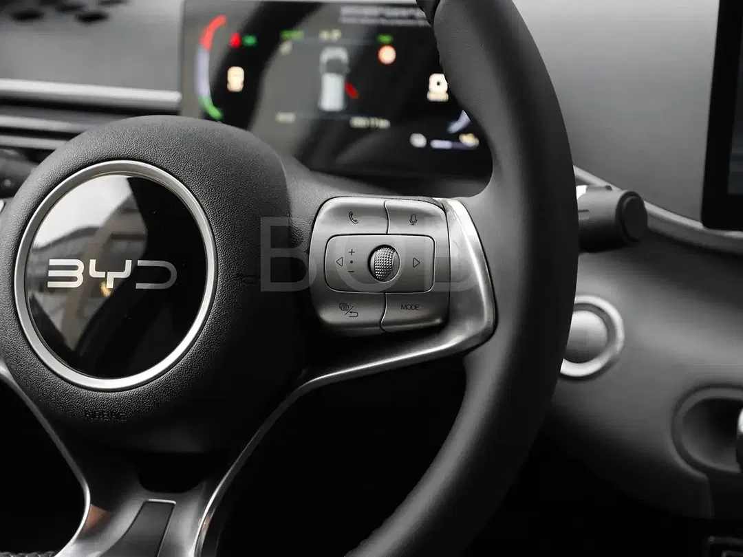 BYD Dolphin - Thumbnail 11