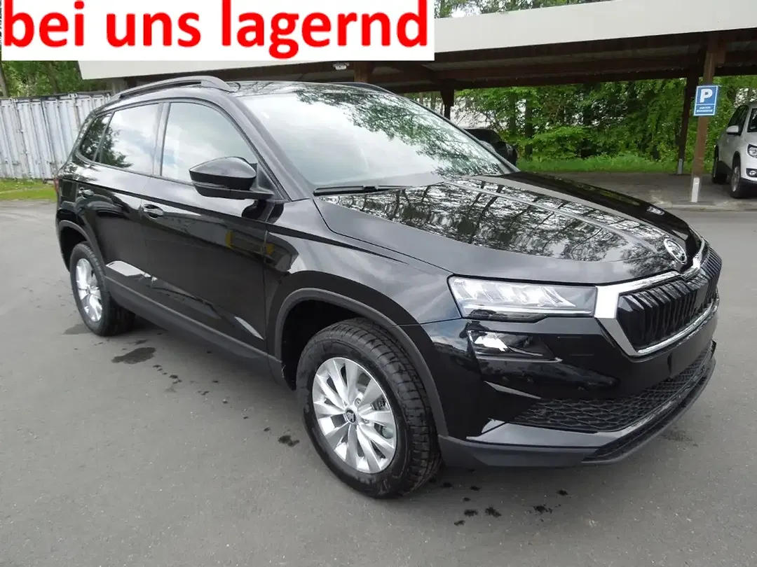 Skoda Karoq - Thumbnail 1