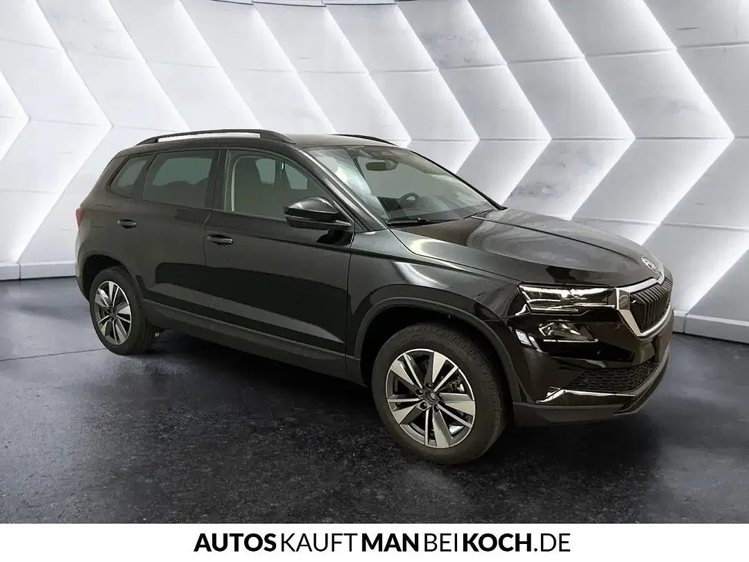 Skoda Karoq - Thumbnail 4