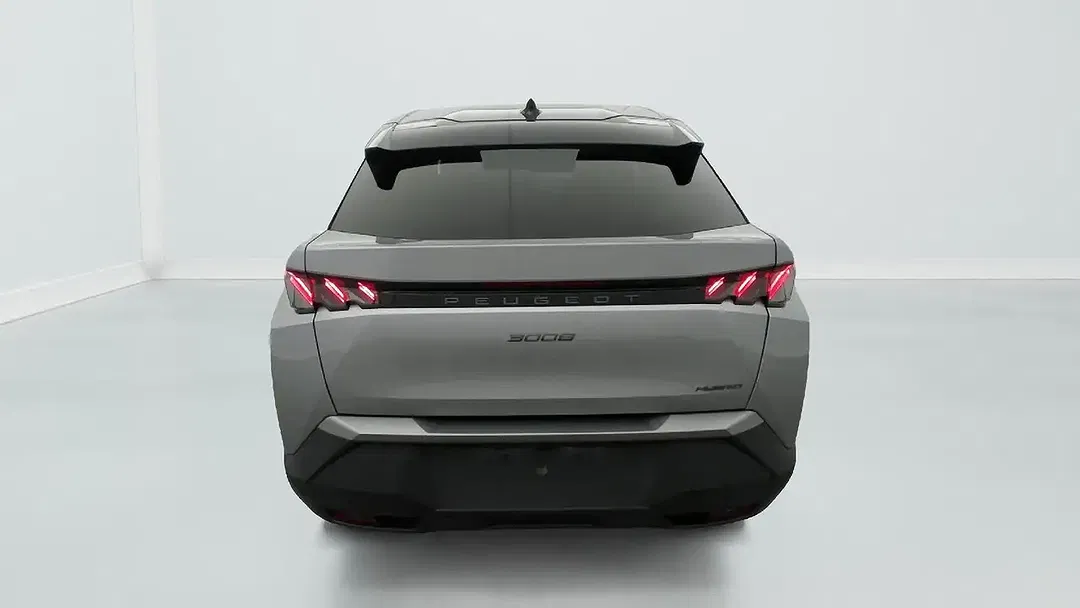 Peugeot 3008 - Thumbnail 6