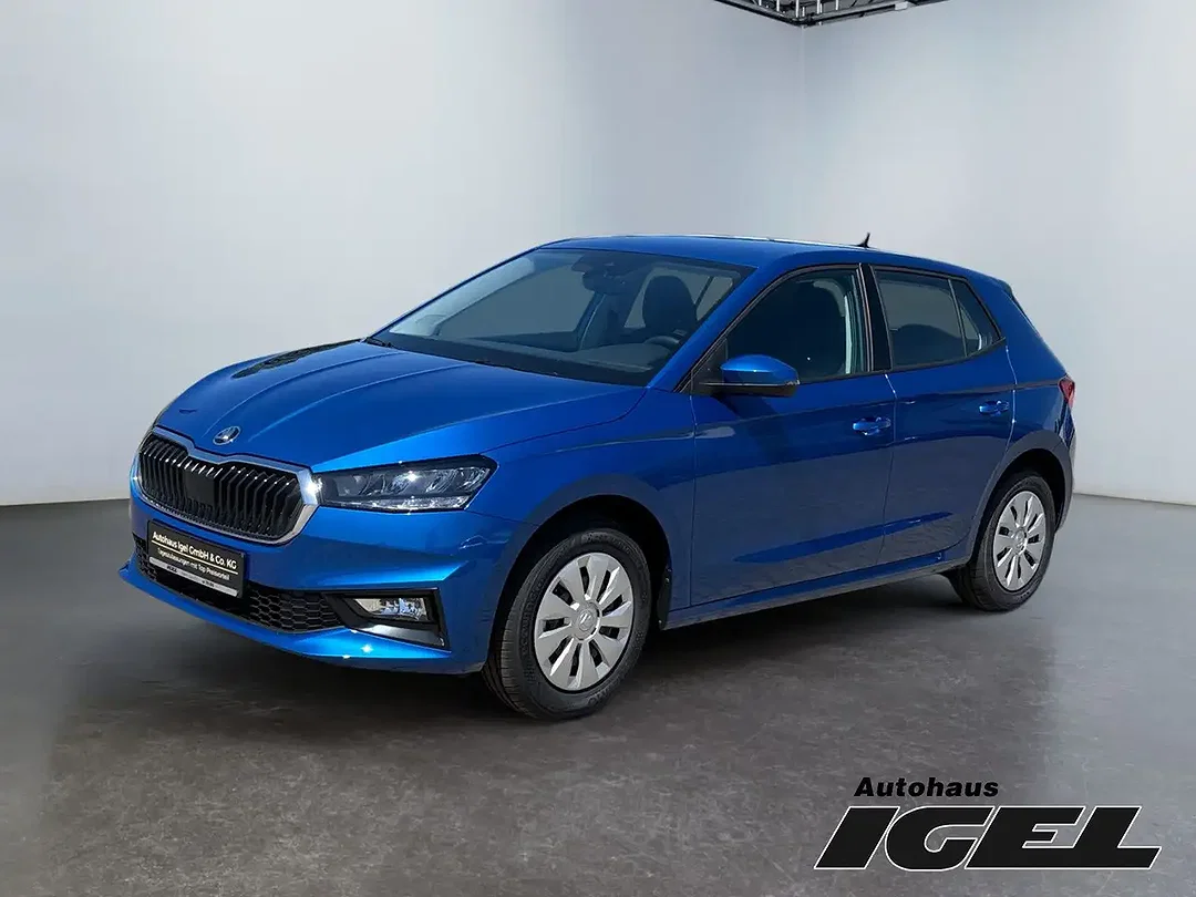 Skoda Fabia - Afbeelding 1