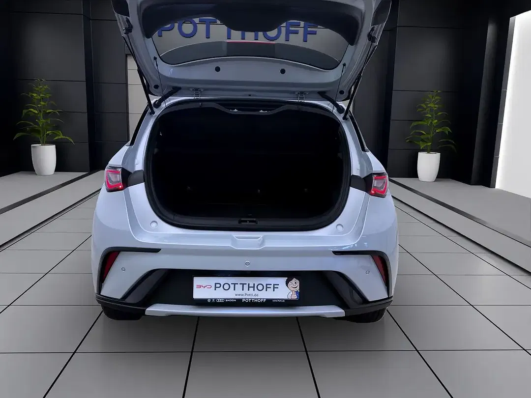 BYD Dolphin - Thumbnail 5