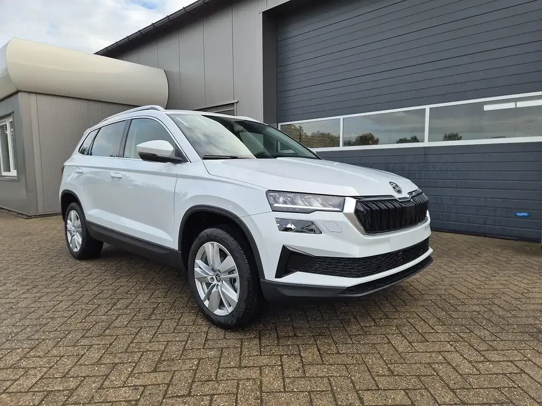 Skoda Karoq - Thumbnail 6