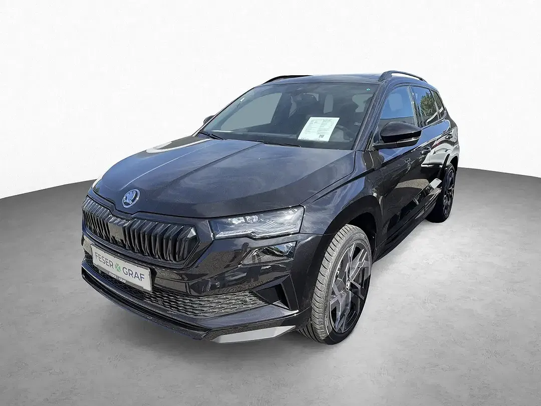 Skoda Karoq - Thumbnail 10
