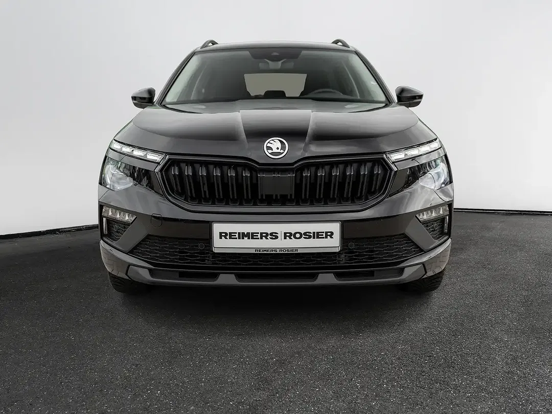 Skoda Kamiq - Thumbnail 2