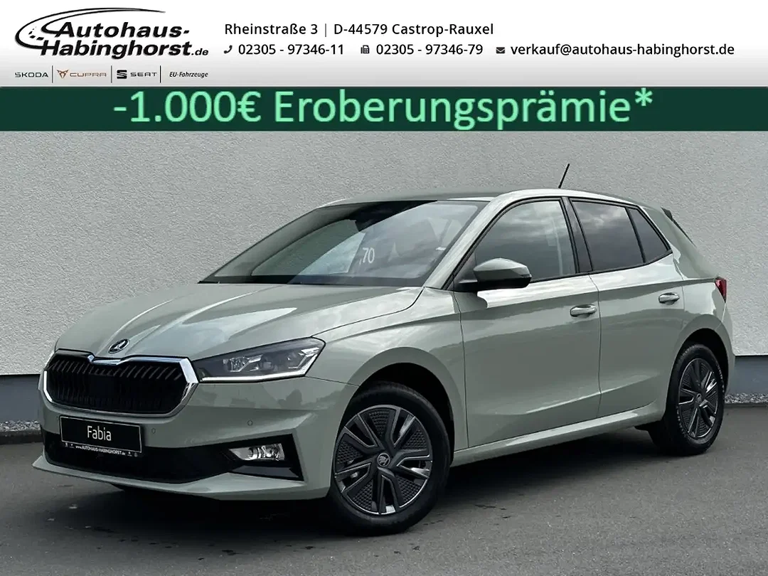 Skoda Fabia - Afbeelding 1