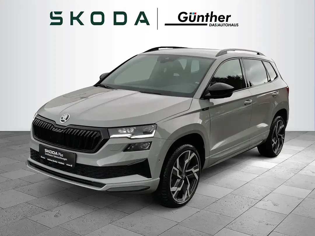 Skoda Karoq - Thumbnail 1