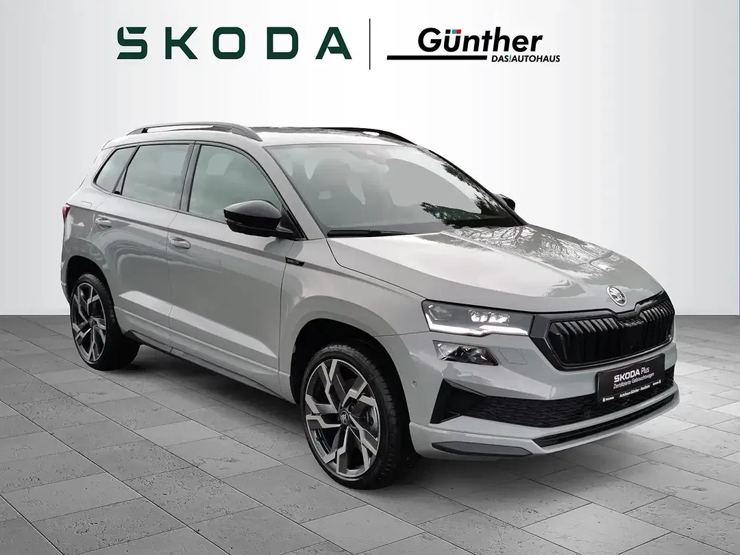 Skoda Karoq - Thumbnail 5