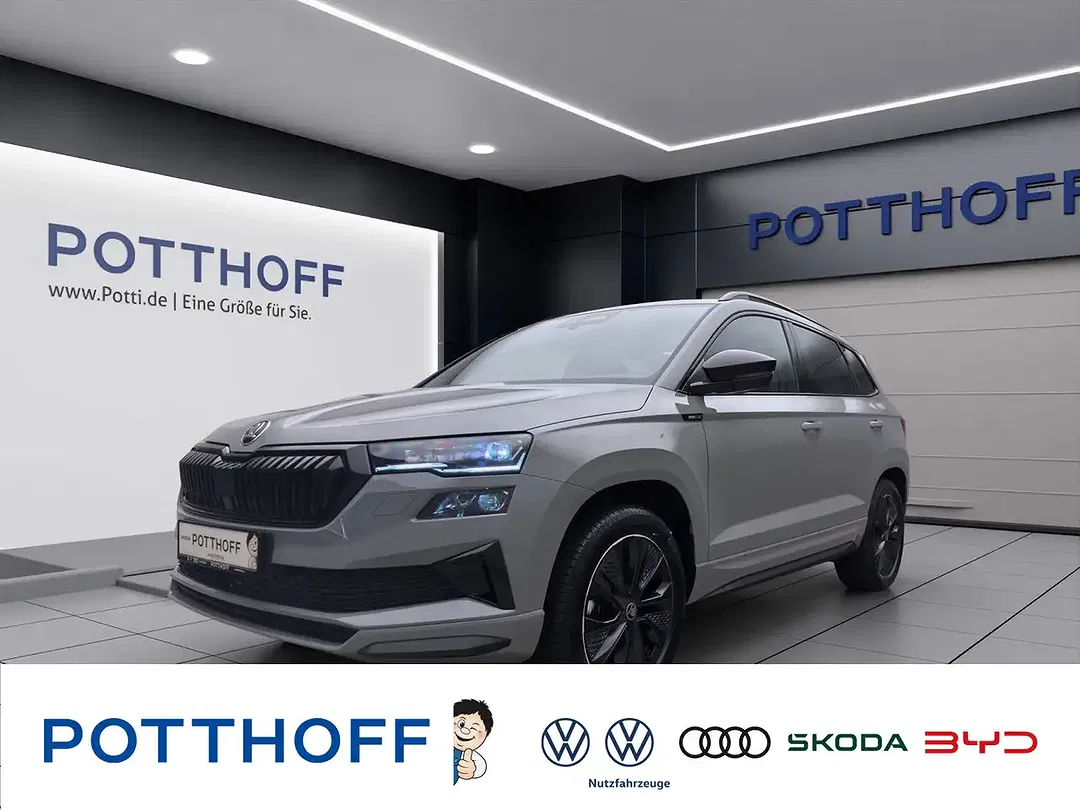 Skoda Karoq - Thumbnail 1