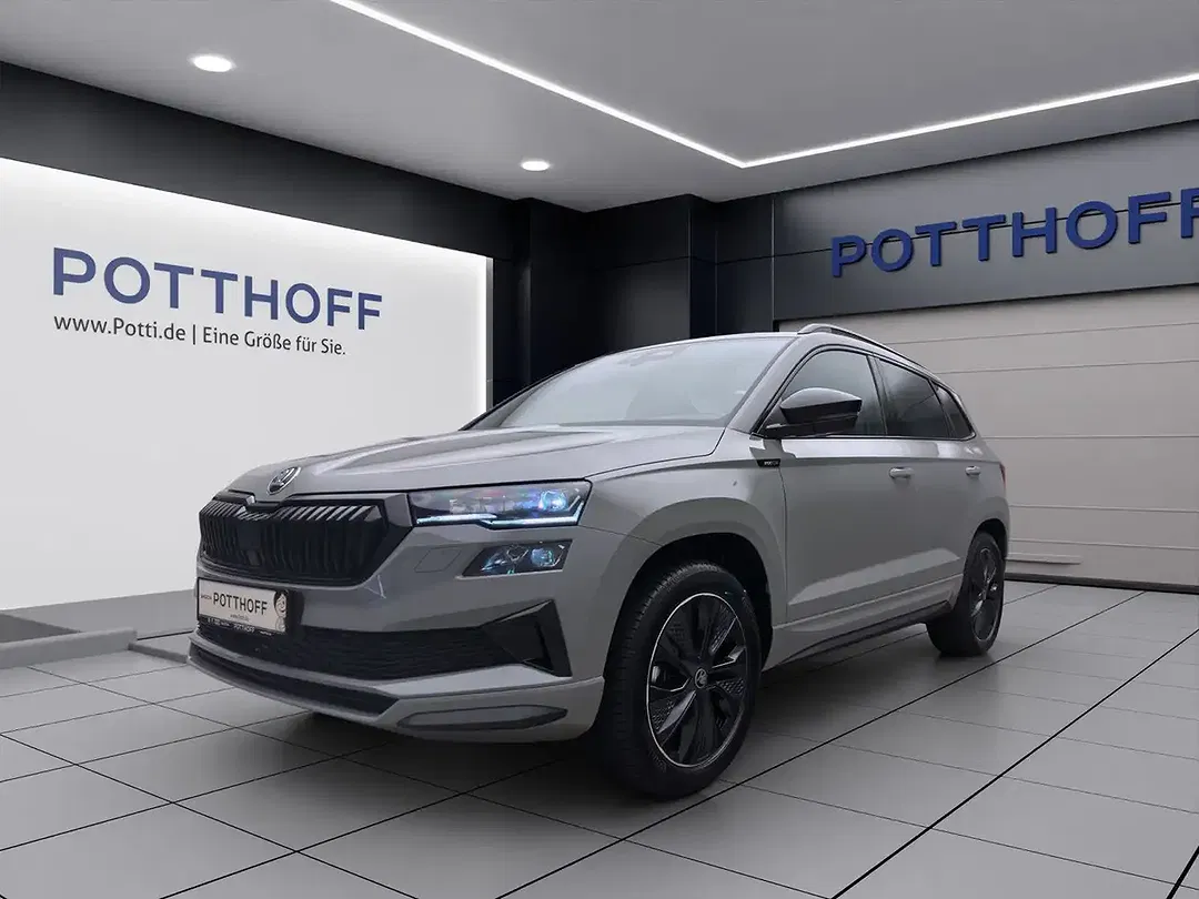 Skoda Karoq - Thumbnail 2
