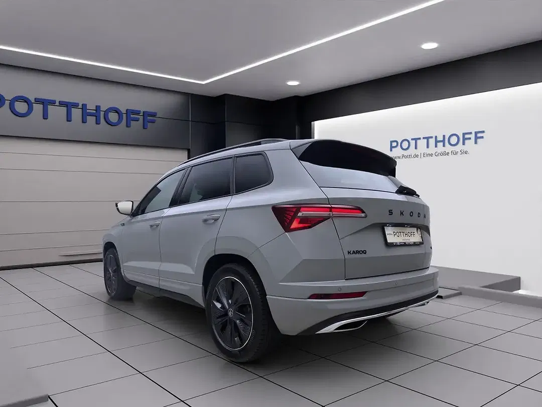 Skoda Karoq - Thumbnail 3