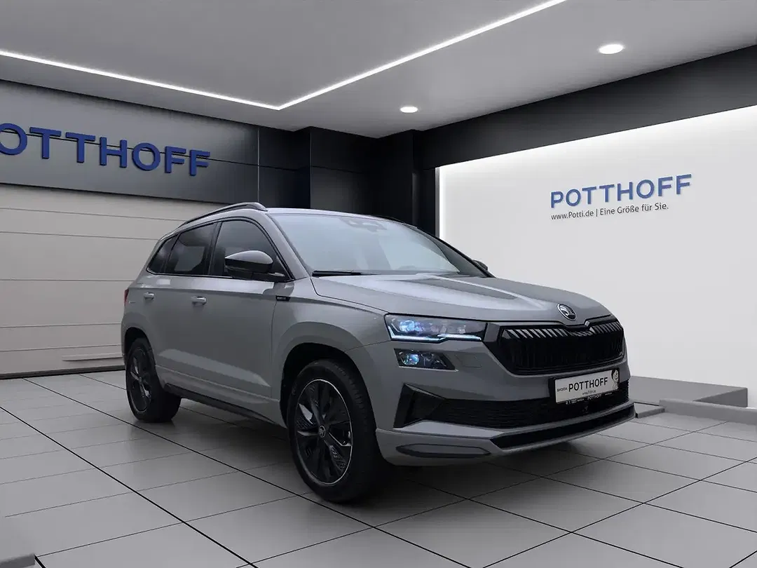 Skoda Karoq - Thumbnail 7