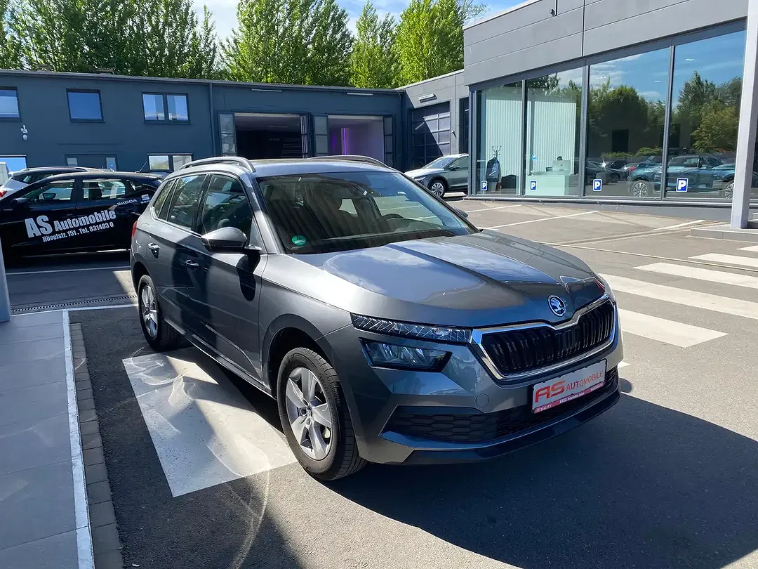 Skoda Kamiq - Thumbnail 3