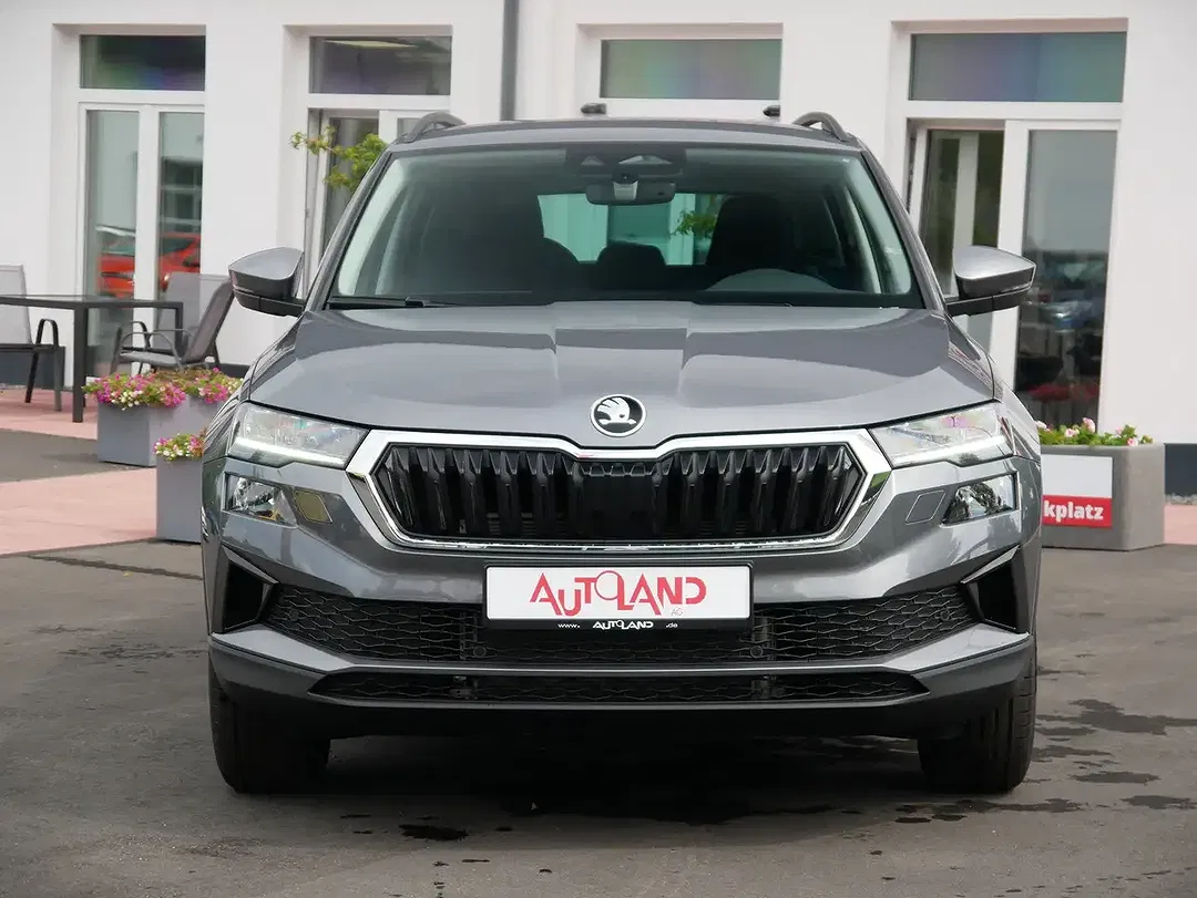 Skoda Karoq - Thumbnail 8